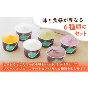 ふるさと納税 【全12回定期便】落葉樹色のジェ...の詳細画像2