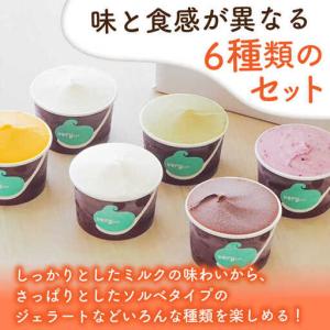 ふるさと納税 【全12回定期便】落葉樹色のジェ...の詳細画像2