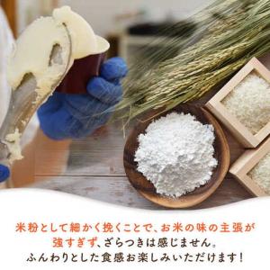 ふるさと納税 【全12回定期便】落葉樹色のジェ...の詳細画像3