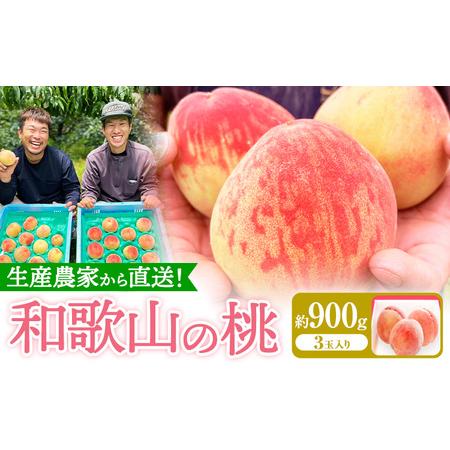ふるさと納税 和歌山県産の桃【先行予約】 約900g (3玉入り) GREEN JUNCTION株式...