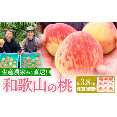 ふるさと納税 和歌山県産の桃【先行予約】 約3.8kg (10~18玉) GREEN JUNCTIO...