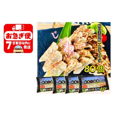 ふるさと納税 A1-0419／鹿児島県産桜島美湯豚　一口餃子　80個(20個×4パック) 鹿児島県垂...