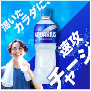 ふるさと納税 アクエリアス 300ml 24本...の詳細画像1