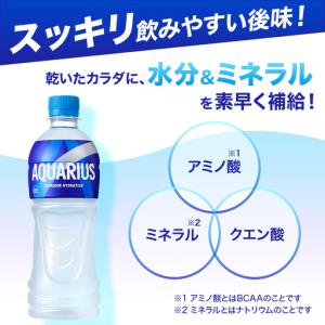ふるさと納税 アクエリアス 300ml 24本...の詳細画像3