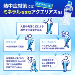 ふるさと納税 アクエリアス 300ml 24本...の詳細画像4