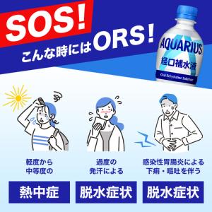 ふるさと納税 アクエリアス ORS 500ml...の詳細画像3