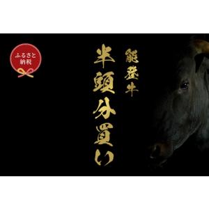 ふるさと納税 【和牛セレブ】【復興支援】能登牛 半頭買い（一括配送） 牛肉 最高級 黒毛和牛 和牛 肉汁 石川県穴水町