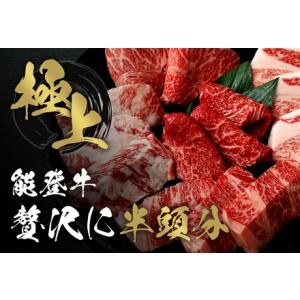 ふるさと納税 【和牛セレブ】【復興支援】能登牛...の詳細画像1