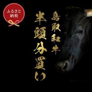ふるさと納税 【和牛セレブ】鳥取和牛半頭分のセレブ体験（一括納品） 鳥取県三朝町