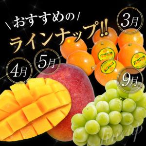 ふるさと納税 旬のくだもの定期便 「厳選コース...の詳細画像3