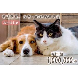 ふるさと納税 愛護支援 去勢 避妊治療支援 10...の商品画像