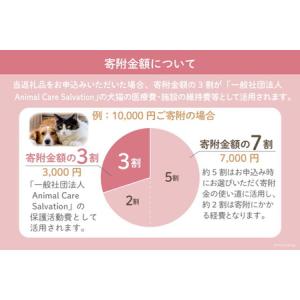 ふるさと納税 愛護支援 去勢 避妊治療支援 1...の詳細画像2