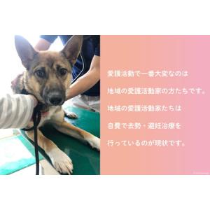 ふるさと納税 愛護支援 去勢 避妊治療支援 1...の詳細画像3