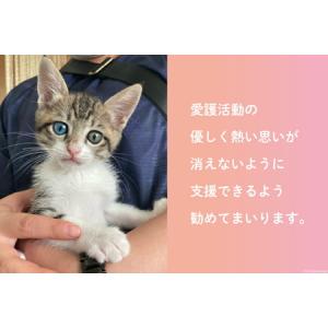 ふるさと納税 愛護支援 去勢 避妊治療支援 1...の詳細画像4