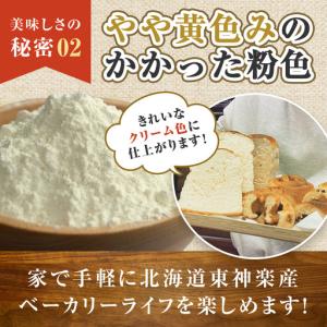 ふるさと納税 【定期便12カ月】キタノカオリ ...の詳細画像3