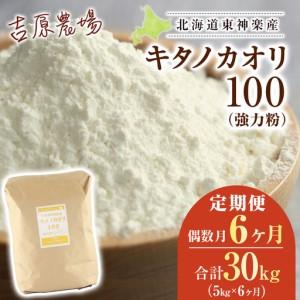 ふるさと納税 【偶数月お届け 6カ月】キタノカオリ 5kg 北海道東神楽町