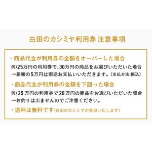 ふるさと納税 カシミヤ あとから選べる! カシ...の詳細画像2