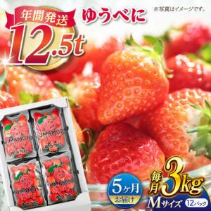 ふるさと納税 【先行予約】【5回定期便】いちご Mサイズ ゆうべに 3kg（12pc）【熊本ベリー】[ZER021] 熊本県山鹿市
