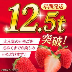 ふるさと納税 【先行予約】【5回定期便】いちご...の詳細画像1