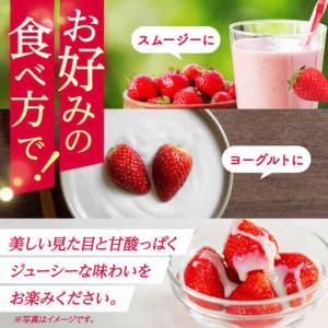 ふるさと納税 【先行予約】【5回定期便】いちご...の詳細画像3