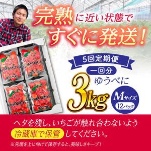 ふるさと納税 【先行予約】【5回定期便】いちご...の詳細画像4