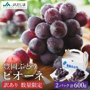 ふるさと納税 ピオーネ 豊岡ぶどう 訳あり 約300g×2パック【2026年先行予約・数量限定】 兵庫県豊岡市