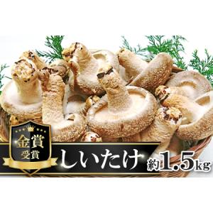 ふるさと納税 菌床しいたけ　かご入り 島根県美郷町｜furunavi