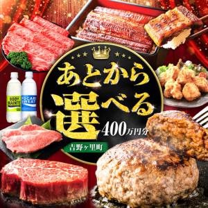 ふるさと納税 【あとから選べる】吉野ヶ里町 ふるさとギフト 400万円分 / あとから寄附 あとからギフト 選べる寄附 400万円 4000000円 / 吉.. 佐賀県吉野ヶ里町