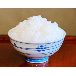 ふるさと納税 【令和7年産】「神農家」が作った...の詳細画像1
