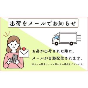 ふるさと納税 【佐賀牛ステーキ100枚をお届け...の詳細画像2