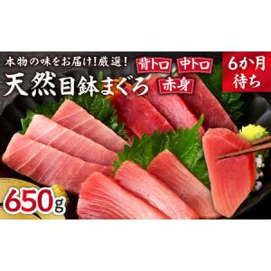 ふるさと納税 A20-017 本物の味をお届け！厳選！天然三崎まぐろ背トロ＆中トロ・赤身セット