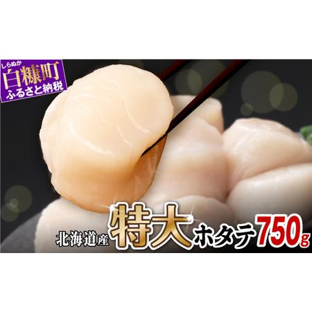 ふるさと納税 ホタテ 特大サイズ 750g ( 250g × 3 ) オホーツク産 お刺身用 ほたて...