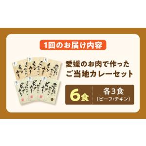 ふるさと納税 カレー【全12回定期便】カレー【...の詳細画像4