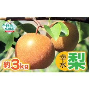 ふるさと納税 【先行予約】 梨 幸水 約3kg 数量限定 熊谷農園 フルーツ 果物 幸水 岩手県陸前高田市