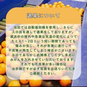 ふるさと納税 有田みかん 早生S〜Lサイズ混合...の詳細画像2