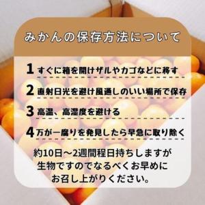 ふるさと納税 有田みかん 早生S〜Lサイズ混合...の詳細画像3
