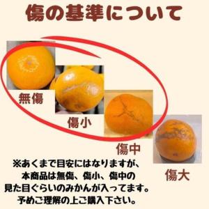 ふるさと納税 有田みかん 早生S〜Lサイズ混合...の詳細画像4