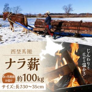 ふるさと納税 【全6回定期便】北海道 ナラ薪 100kg（20kg×5箱） 薪ストーブ 薪ストーブ 薪ストーブ 薪ストーブ [AXBE008] 北海道厚真町