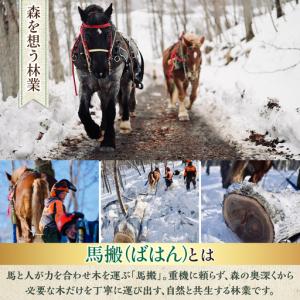 ふるさと納税 【全6回定期便】北海道 ナラ薪 ...の詳細画像2