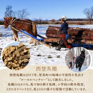 ふるさと納税 【全6回定期便】北海道 ナラ薪 ...の詳細画像3