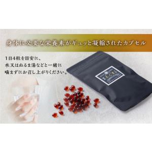 ふるさと納税 えごまオイルソフトカプセル 1袋...の詳細画像2