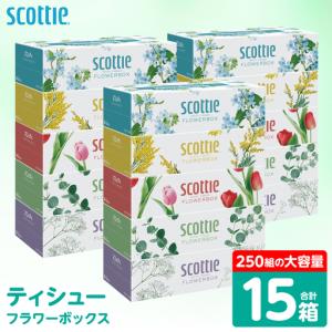ふるさと納税 スコッティ ティッシュ 250組 15箱 ティシュー 熊本県八代市｜ふるなび(ふるさと納税)