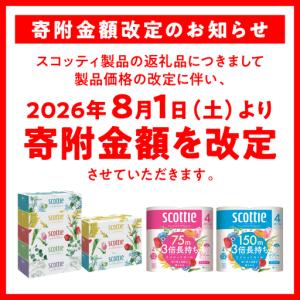 ふるさと納税 スコッティ ティッシュ 250組...の詳細画像2