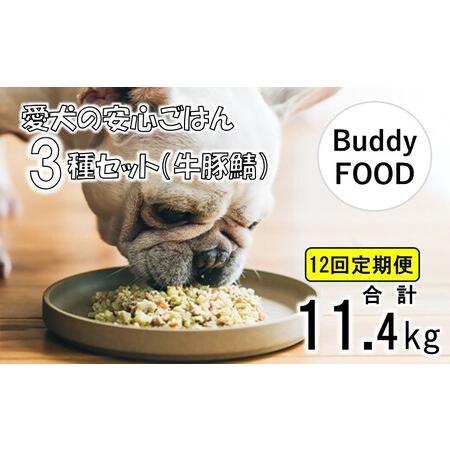 ふるさと納税 【12ヶ月定期便】完全国産・獣医師オススメの愛犬の安心ごはん【Buddy FOOD バ...