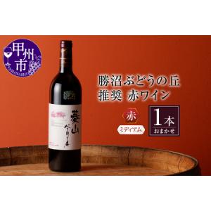 ふるさと納税 ワイン 勝沼ぶどうの丘推奨 赤ワイン（ミディアムボディ）1本（KBO）B-653 山梨県甲州市