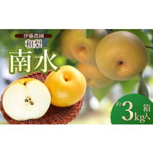 ふるさと納税 【令和8年産先行予約】 南水(和梨) 約3kg 箱入り (7〜9個入り) 山形県鶴岡市　伊藤農園 山形県鶴岡市