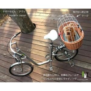 ふるさと納税 AWY (アヴィ) 20インチ ...の詳細画像1
