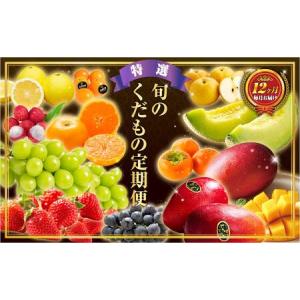 ふるさと納税 旬のくだもの定期便 「特選コース」 全12回 マンゴー いちご マスカット 国産 宮崎【G52】 宮崎県新富町