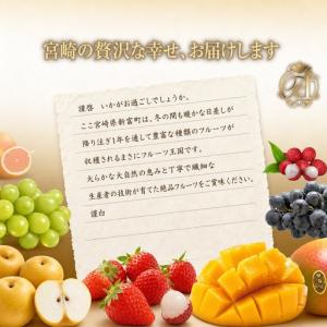 ふるさと納税 【12回】フルーツ定期便 旬のフ...の詳細画像1