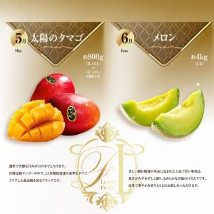 ふるさと納税 【12回】フルーツ定期便 旬のフ...の詳細画像3